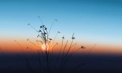 Featured image of post Android实用工具合集