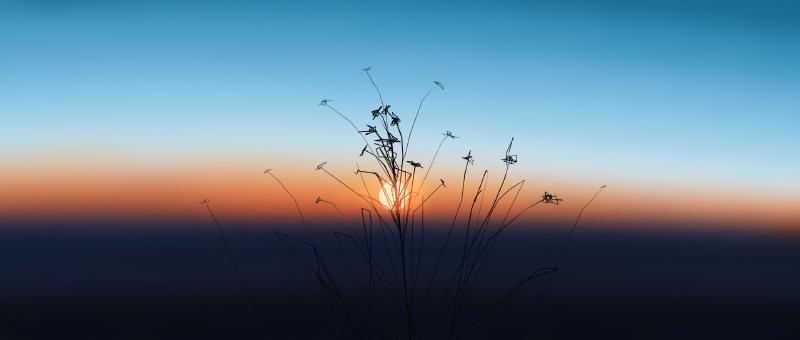 Featured image of post Android实用工具合集